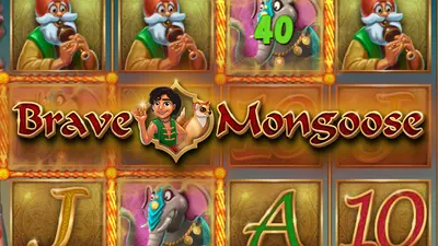 brave mongoose